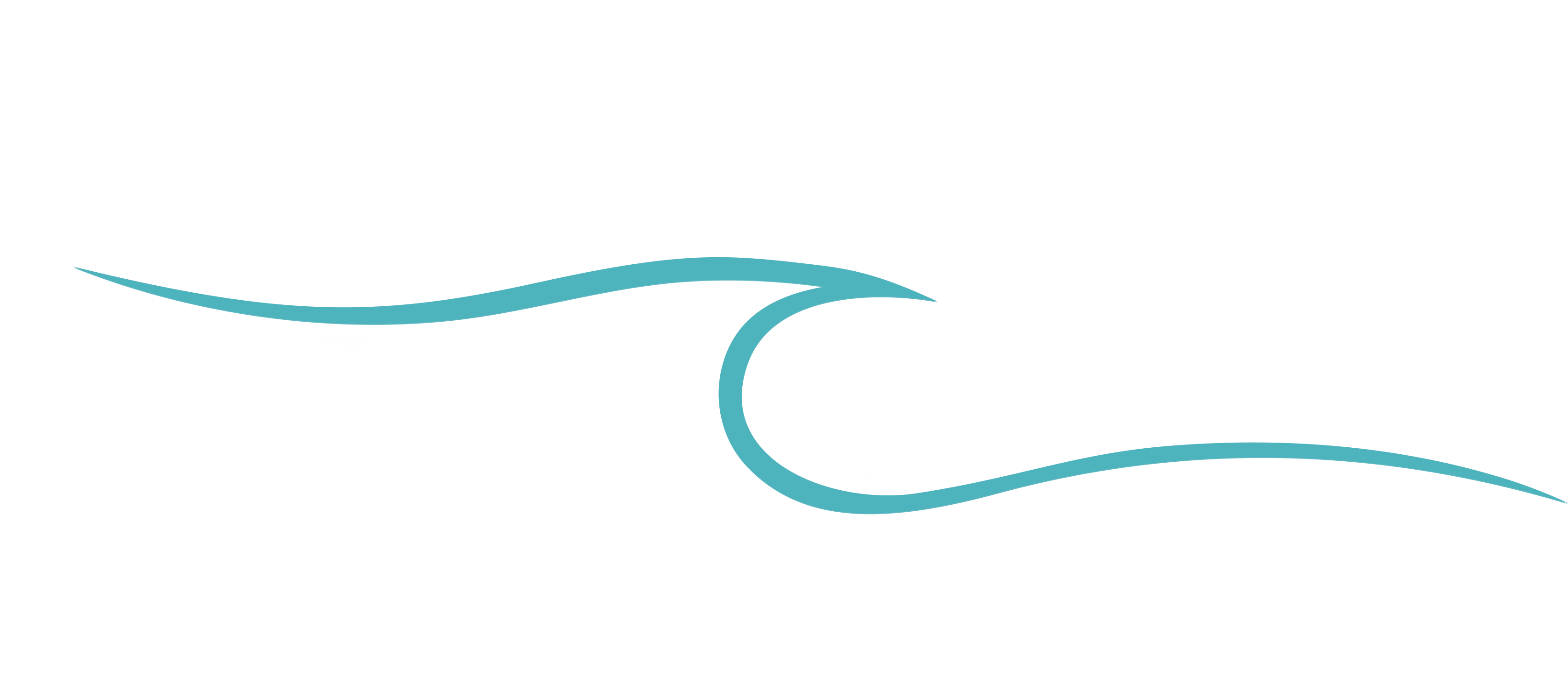 SedaCoral.es – Imported premium corals